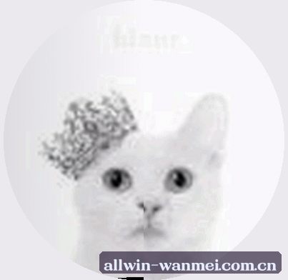 张猛